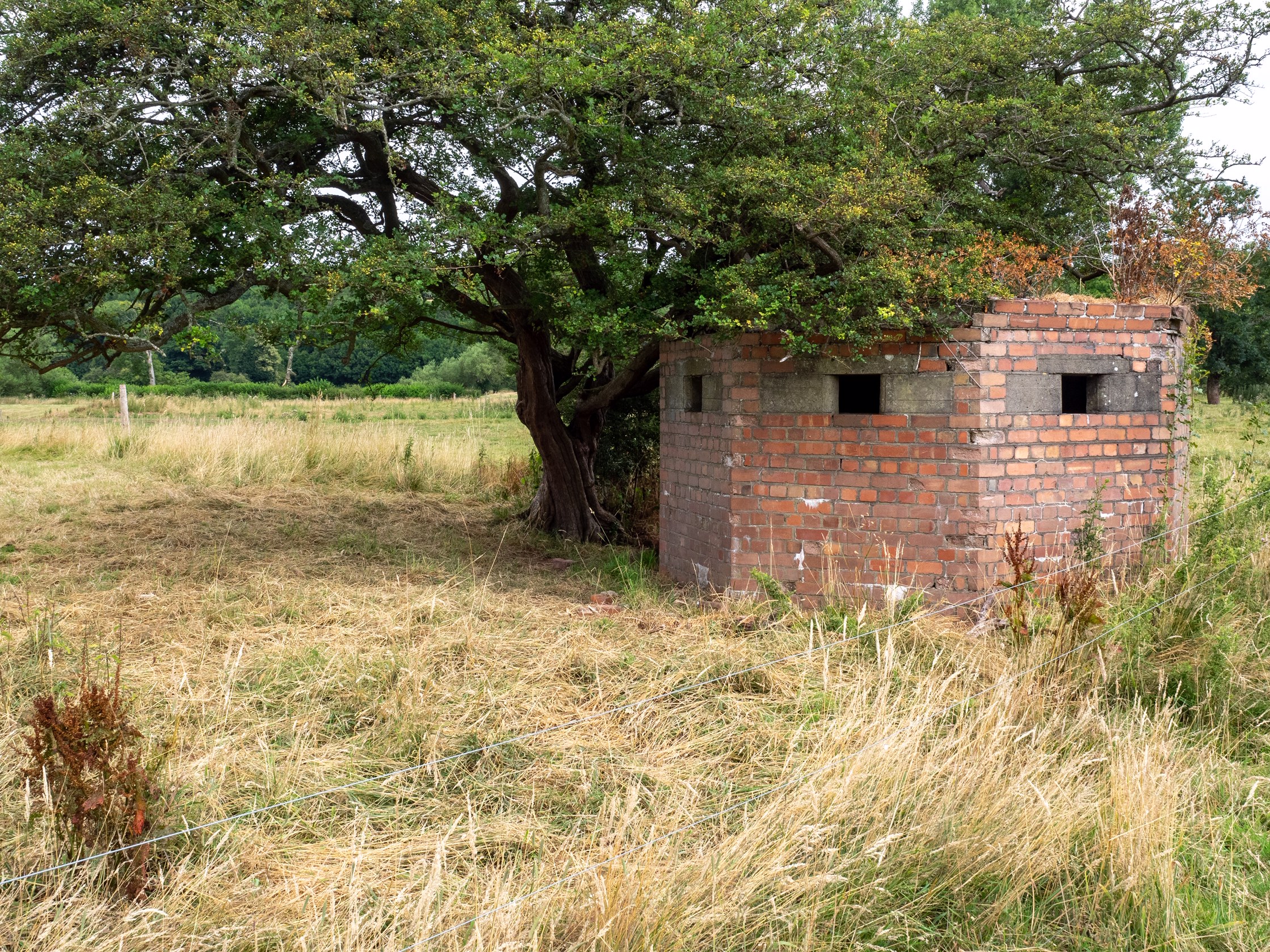 Pillbox on Usk meadows at Scethrog