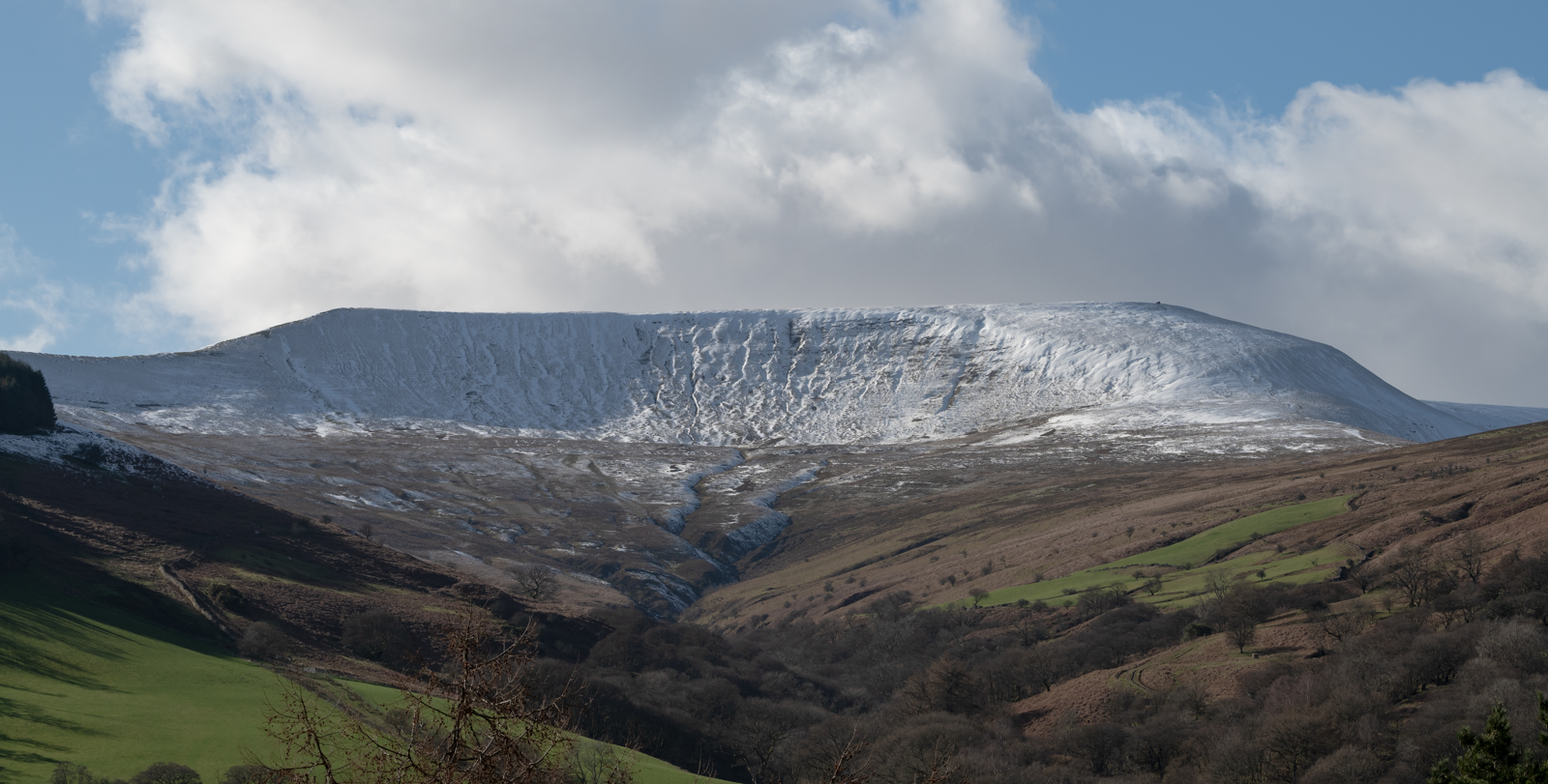 Old Red Sandstone Waun Rydd