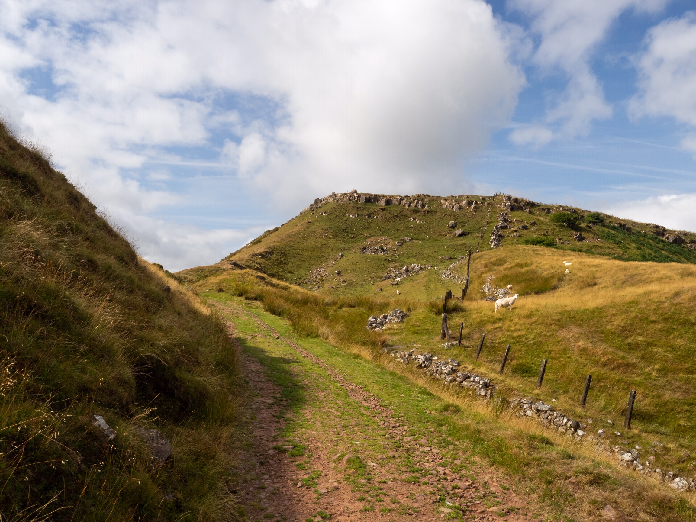 Limestone outcrop at Darren Fach