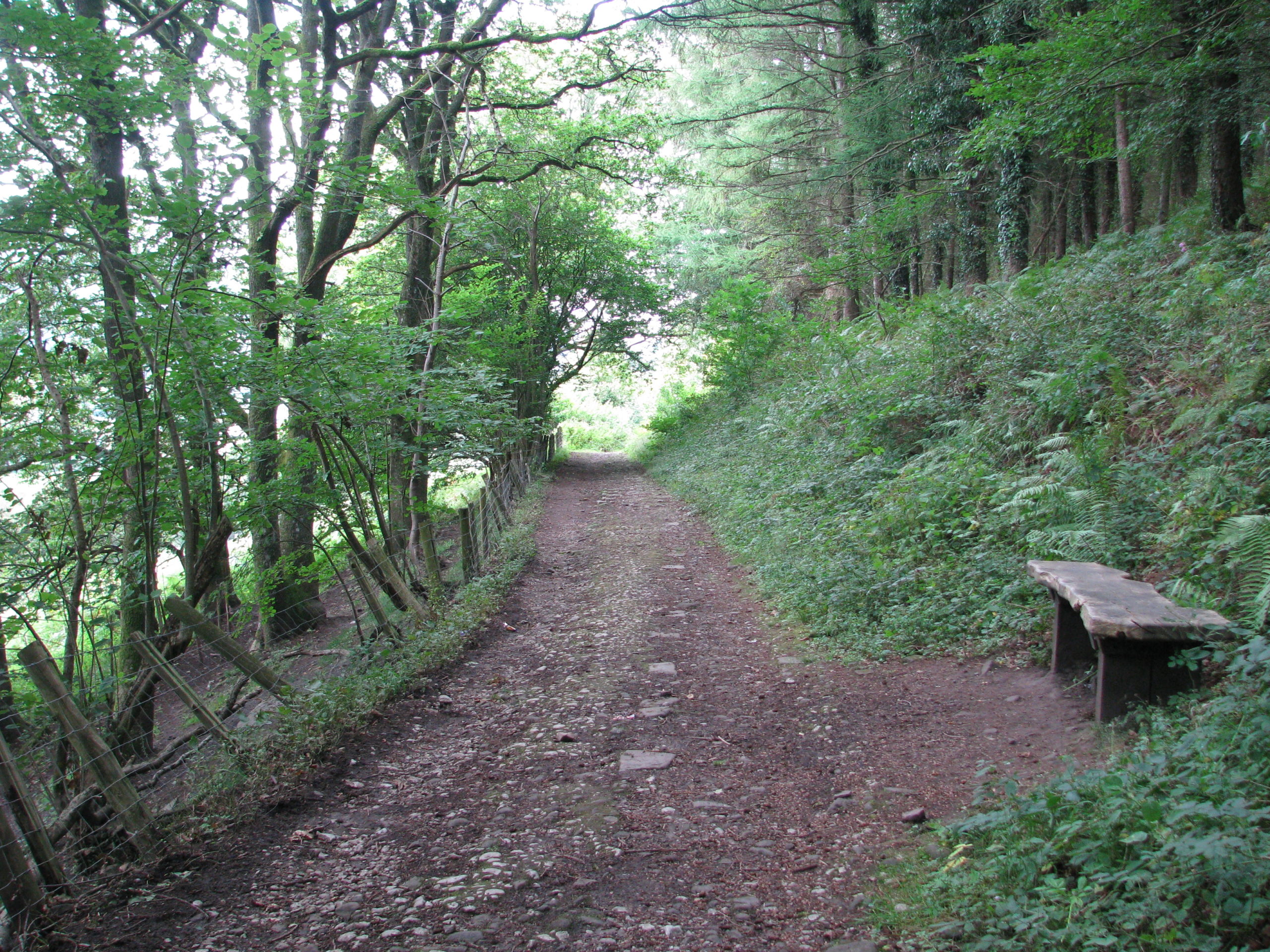 Brinore Tramroad above Aber looking north