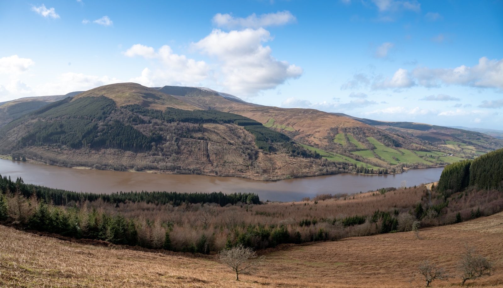 Forestry plantations around the reservoir