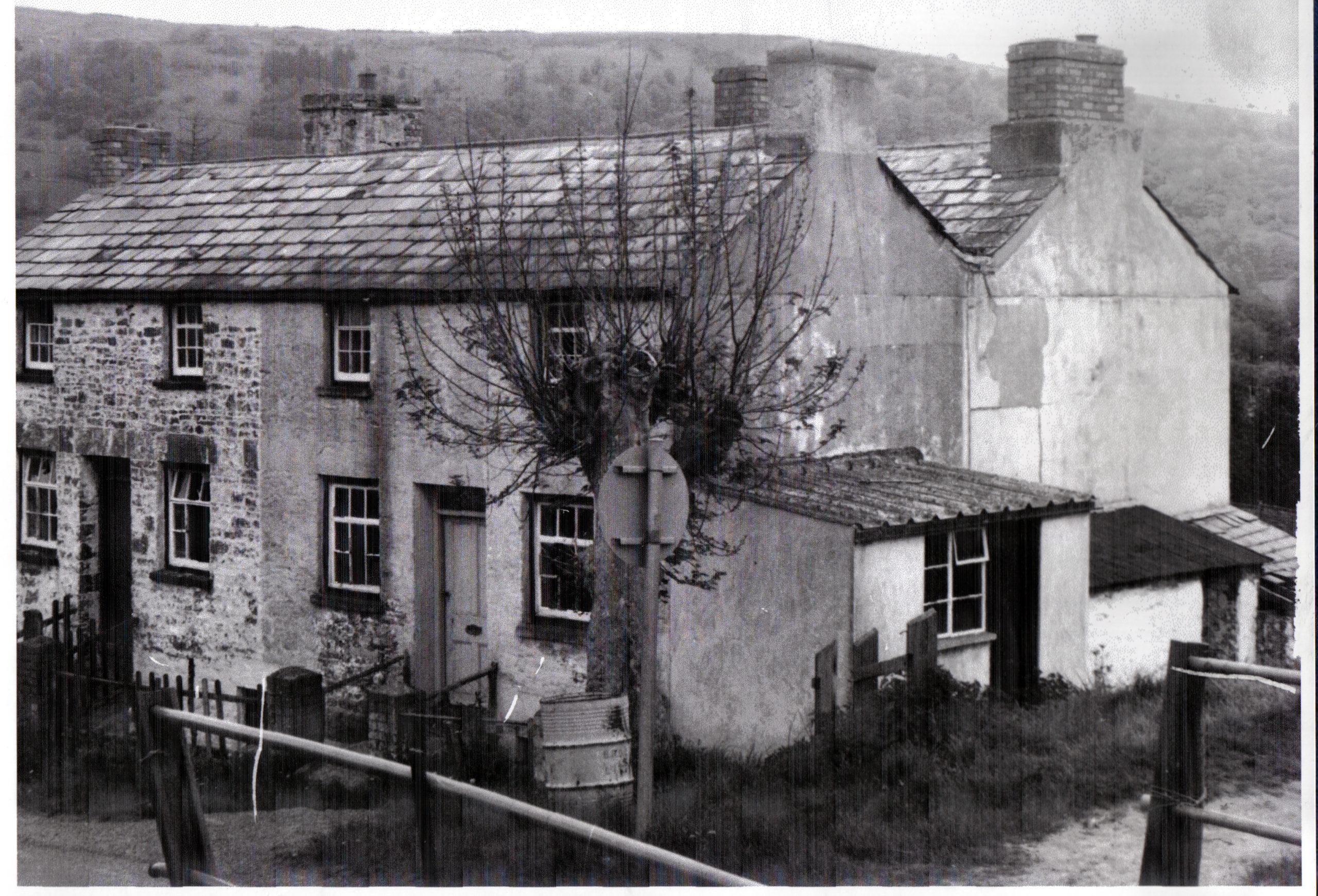 Drawbridge cottages from the towpath